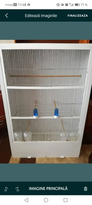 Voliera pasari exotice