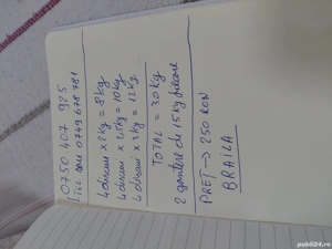 Vand 2 gantere 30 kg cu 250 ron Braila    