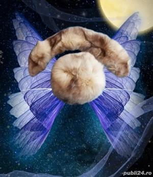 Căciulă și guler #iarnă - imagine 2