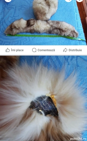 Căciulă și guler #iarnă - imagine 5