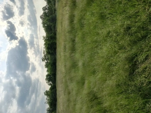 Teren intravilan de vânzare în Honorici 