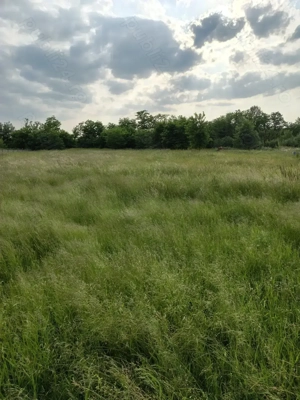 Teren intravilan de vânzare în Honorici  - imagine 2