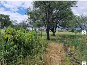 Casa cu teren orasul Roznov judetul Neamt 1550 mp