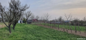 Teren intravilan 2300mp Sarulesti Sat Calarasi - imagine 3