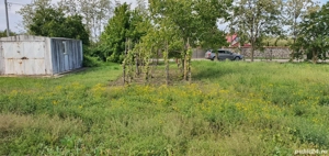 Teren intravilan 2300mp Sarulesti Sat Calarasi - imagine 5