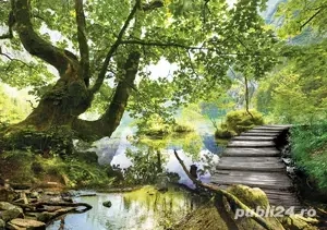 Montez tapet si fototapet