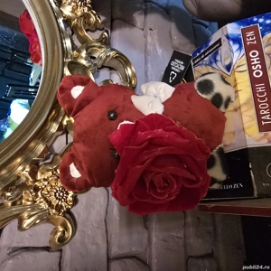 Ursulet de Sf.Valentin - imagine 2