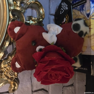 Ursulet de Sf.Valentin