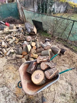 Transport moloz.Debarasari ,Defrișari Toaletari pomi - imagine 2