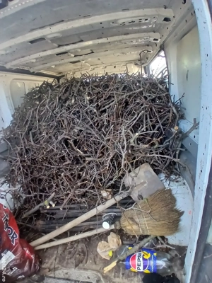 Transport moloz.Debarasari ,Defrișari Toaletari pomi - imagine 5