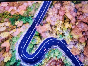 Escorta masculina, exclusiv pentru doamne si domnisoare