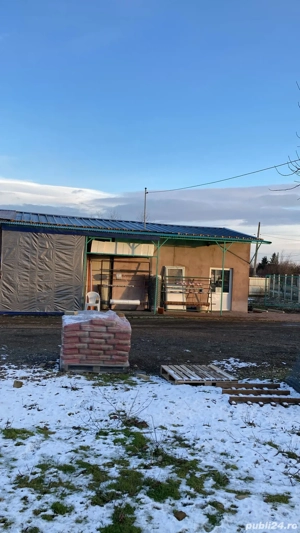 Vând spatiu comercial cu marfa,stivuitor, in localitatea balaceanu,judet buzău. - imagine 3