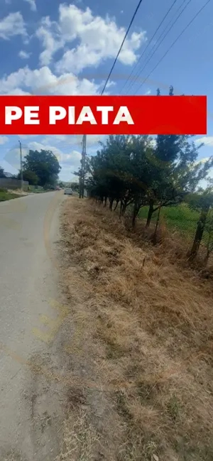 0% COMISION - TEREN GENEROS 5000 MP  GOLESTI - ARGES