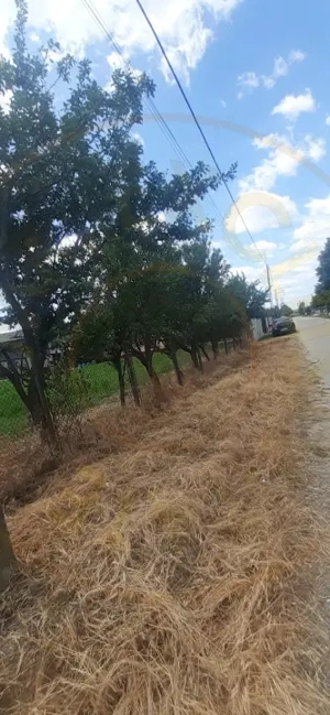 TEREN  ZONA MUZEUL GOLESTI ARGES!! - imagine 3