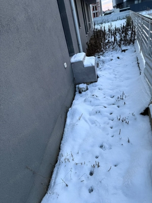 Braytim | 2 Camere | Curte proprie | Mobilat si Utilat - imagine 10