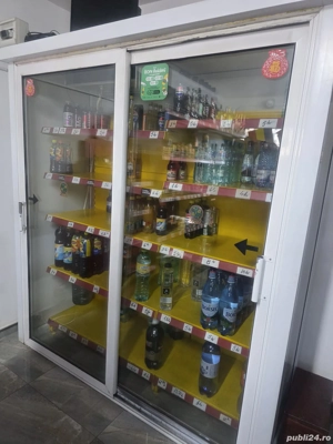 Vând vitrina frigorifica profesională 