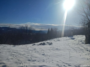 Teren + Casa Batraneasca   Sat Serbanesti   Salatrucel   - imagine 6