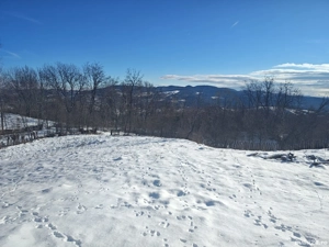 Teren + Casa Batraneasca   Sat Serbanesti   Salatrucel   - imagine 2