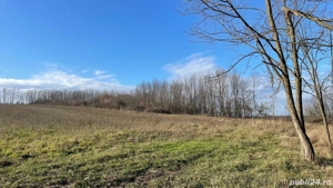 Ocazie deosebita cu multe oportunitati ! Teren intravilan cu o suprafata de 7528 m2 - imagine 2