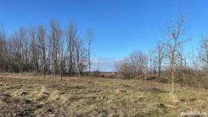 Ocazie deosebita cu multe oportunitati ! Teren intravilan cu o suprafata de 7528 m2 - imagine 6