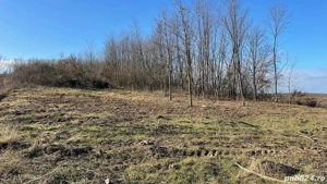 Ocazie deosebita cu multe oportunitati ! Teren intravilan cu o suprafata de 7528 m2 - imagine 5