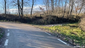 Ocazie deosebita cu multe oportunitati ! Teren intravilan cu o suprafata de 7528 m2 - imagine 3