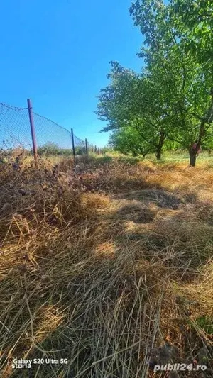 Livada in Potarnichea,com Topraisar - imagine 2