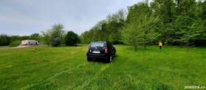 Vand padure foioase Craiova - imagine 4