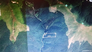 Pădure de fag de vanzare  - imagine 3