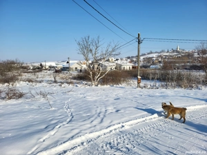 Teren intravilan Paleu
