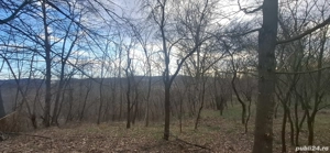 Vând teren intravilan 4900m2 - imagine 3