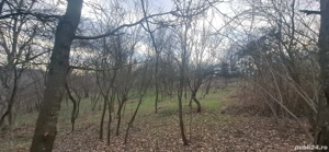 Vând teren intravilan 4900m2 - imagine 6