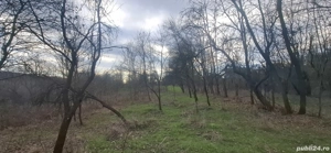 Vând teren intravilan 4900m2 - imagine 7