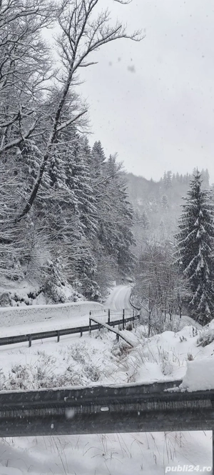 Fost asistent medical caut de lucru in diferite domenii