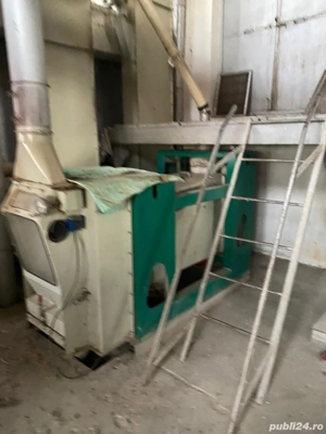 Vand moara industriala 30 T  zi - imagine 4