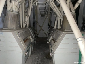 Vand moara industriala 30 T  zi