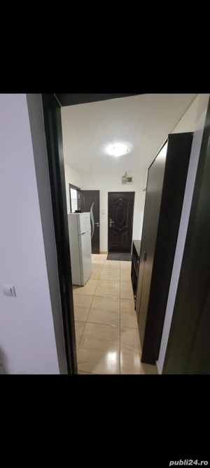 INEL 2 -apartament 3 camere de închiriat - imagine 7