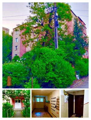  Apartament 3 camere etaj 1 Ion Creangă Prefectura Primarie(fostul C.E.C) liceul Pedagogic - imagine 7