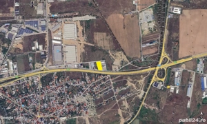 Theodor Pallady   Drumul intre Tarlale