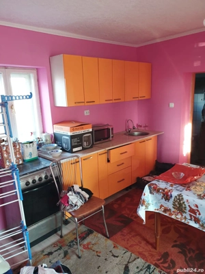 Închiriez casă sat Herneacova - imagine 4