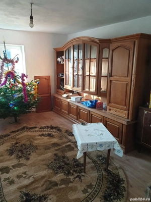 Închiriez casă sat Herneacova - imagine 2