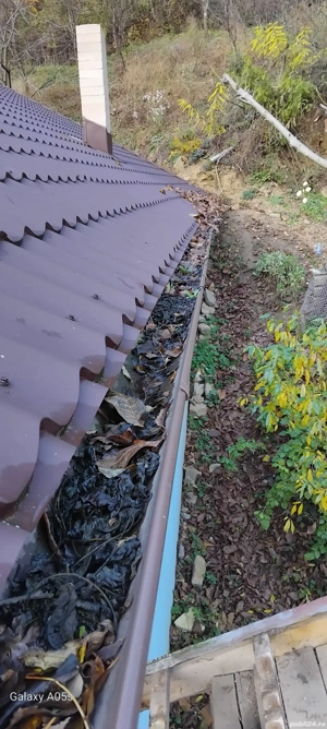 Îngrijesc clădiri și spații verzi 