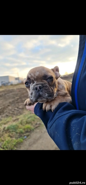 cautam casuta noua - imagine 2