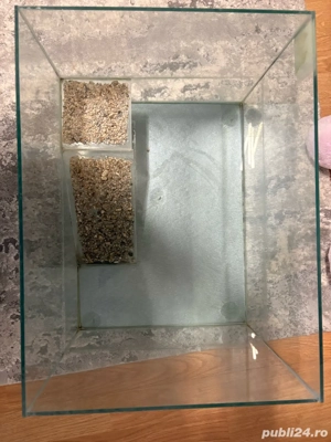 acvariu testoase  - imagine 2