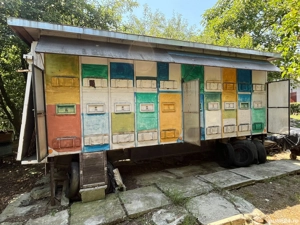 Vand pavilion apicol, inmatriculat apicol, 40 familii, stupi verticali