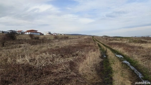 teren 2900m2 sat gheorgheni - imagine 4
