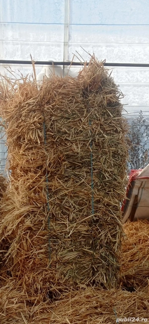 nutreti pentru animale  - imagine 2