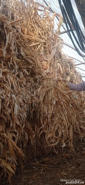 nutreti pentru animale  - imagine 3