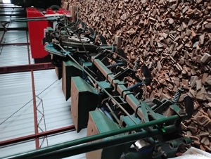 Semănătoare de porumb și floarea soarelui  - imagine 4