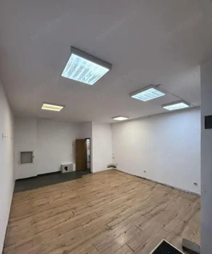 Mihai Bravi Baba Novac 45 mp - imagine 2